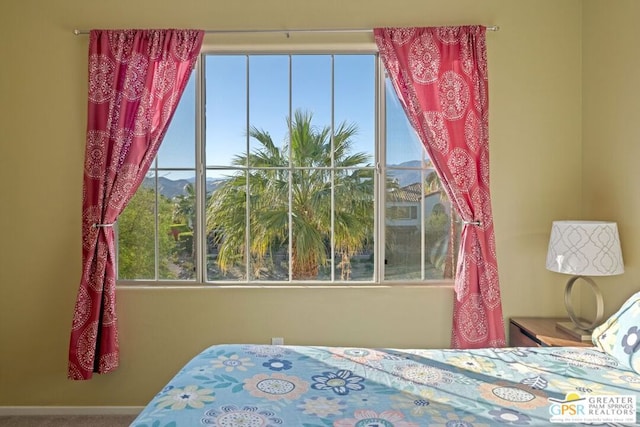 bedroom with multiple windows