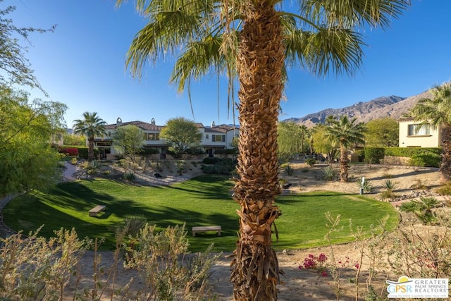 view of community featuring a mountain view and a yard