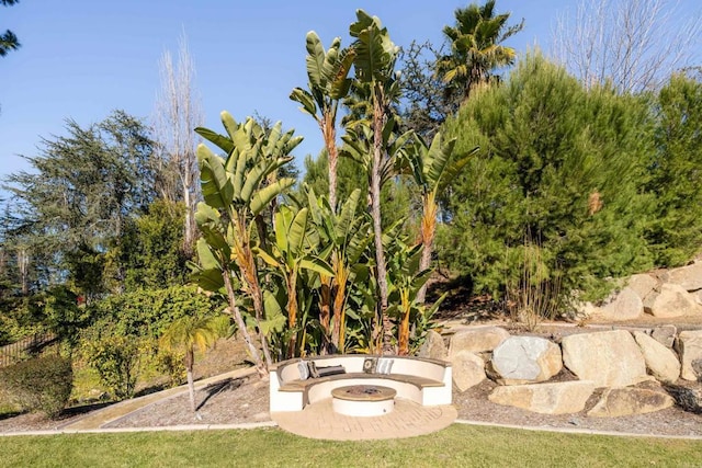 view of yard with a fire pit