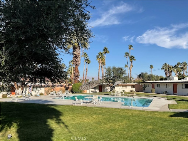 view of pool featuring a patio area and a lawn