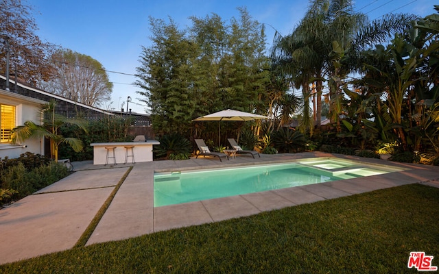 view of swimming pool with an in ground hot tub, a patio area, and a bar