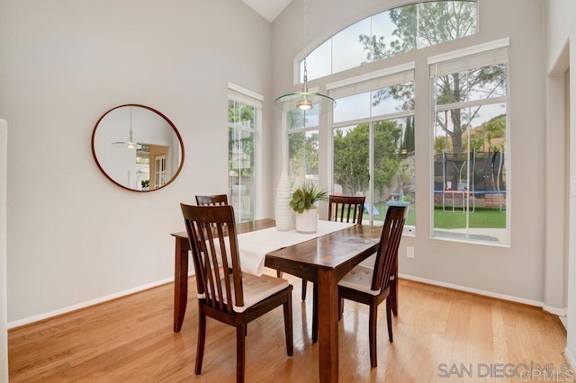 dining space featuring plenty of natural light and light hardwood / wood-style flooring