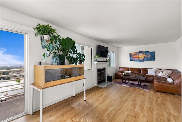 living room with hardwood / wood-style floors