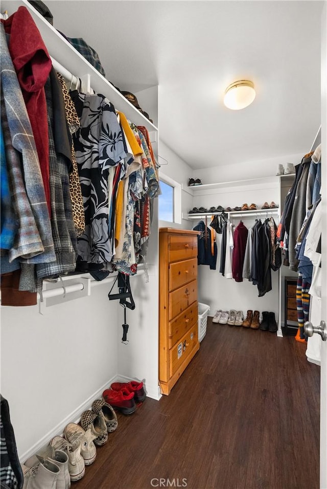 spacious closet featuring dark hardwood / wood-style floors