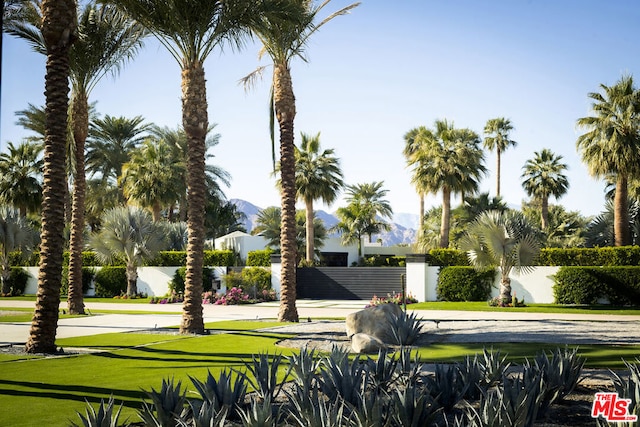 view of home's community with a mountain view and a lawn