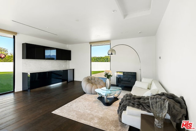 living room featuring dark wood-type flooring