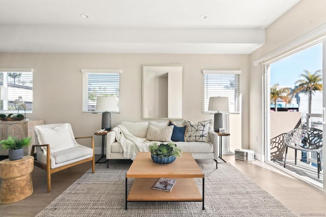 living room with hardwood / wood-style flooring and a healthy amount of sunlight