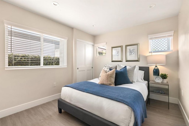 bedroom featuring multiple windows, wood-type flooring, and a closet