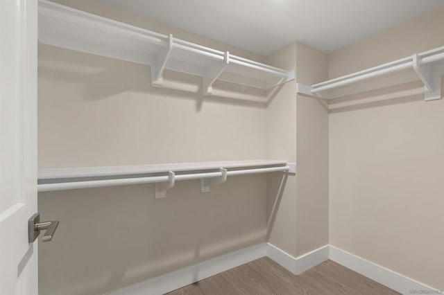 walk in closet featuring light hardwood / wood-style floors