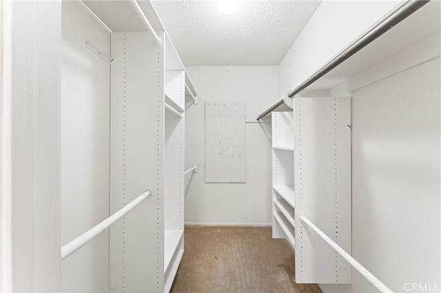 walk in closet with carpet flooring