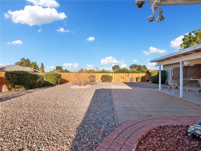 view of yard featuring a patio area