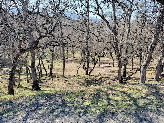 Listing photo 2 for 19325 Deer Hill Rd, Hidden Valley Lake CA 95467