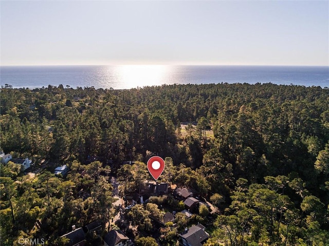 drone / aerial view with a water view and a wooded view