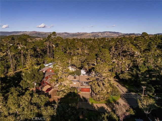 drone / aerial view featuring a mountain view and a view of trees