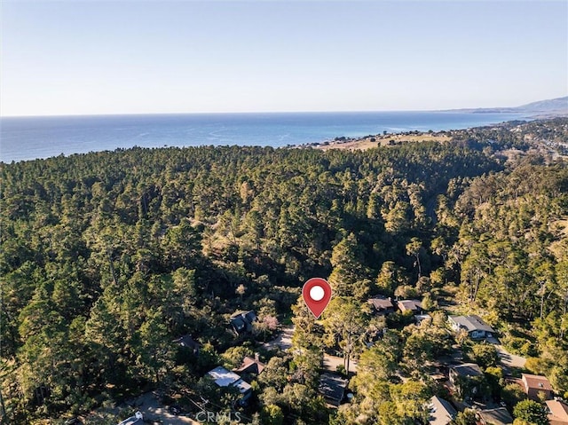 bird's eye view featuring a water view and a wooded view