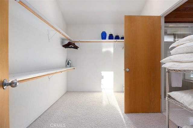 walk in closet with light carpet