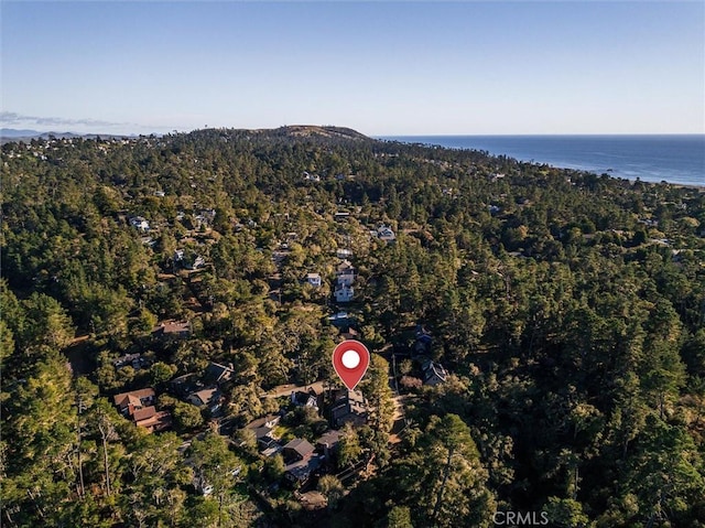 birds eye view of property featuring a water view and a view of trees