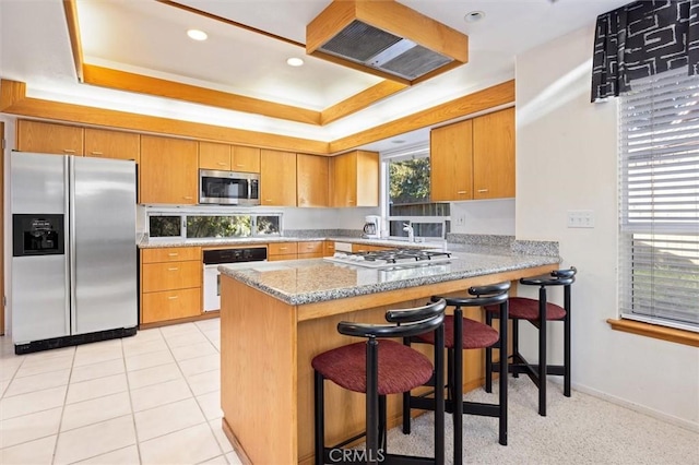 kitchen featuring stainless steel appliances, a tray ceiling, a peninsula, and light stone counters