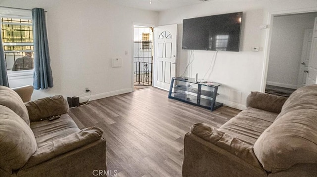 living room featuring wood-type flooring