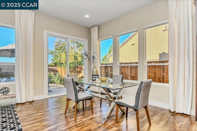 dining area with hardwood / wood-style floors