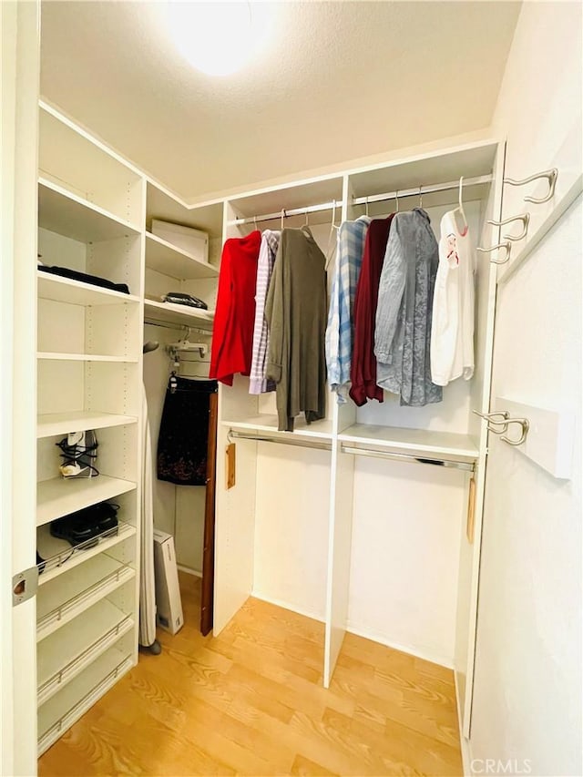 spacious closet with wood-type flooring