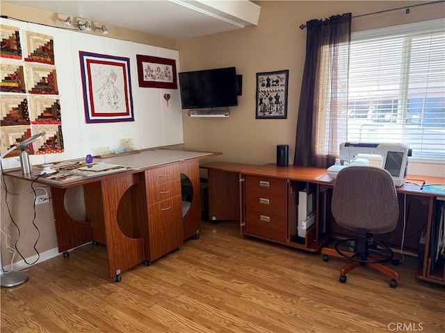 office space featuring light hardwood / wood-style floors and a wealth of natural light