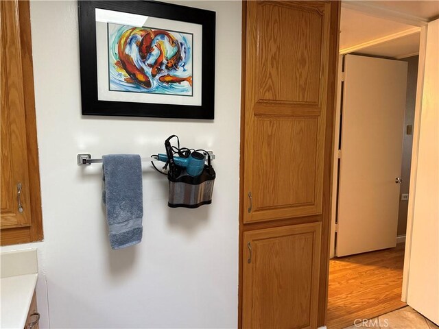 bathroom featuring wood-type flooring