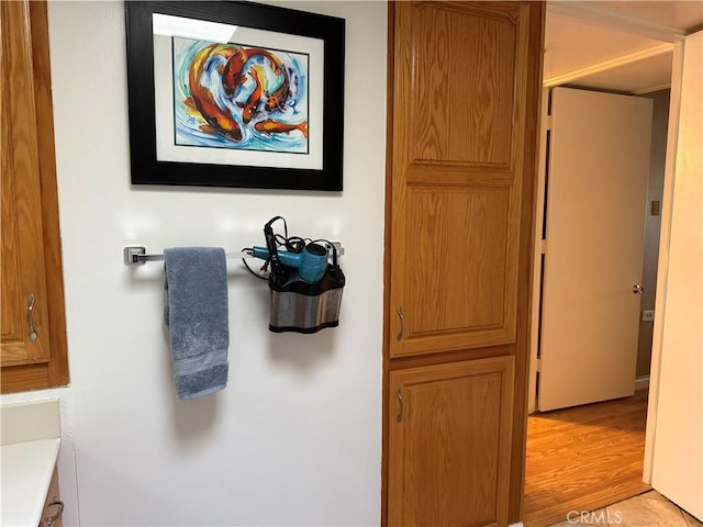 bathroom featuring hardwood / wood-style floors