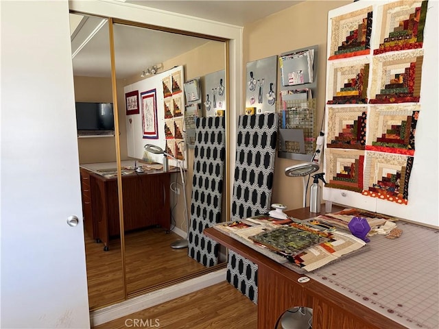 interior space with wood-type flooring