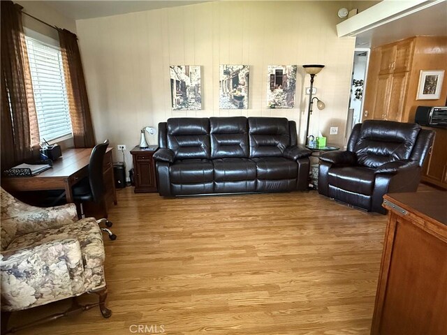 living room with light hardwood / wood-style flooring