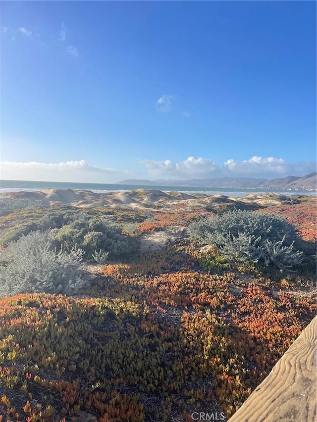 bird's eye view featuring a mountain view