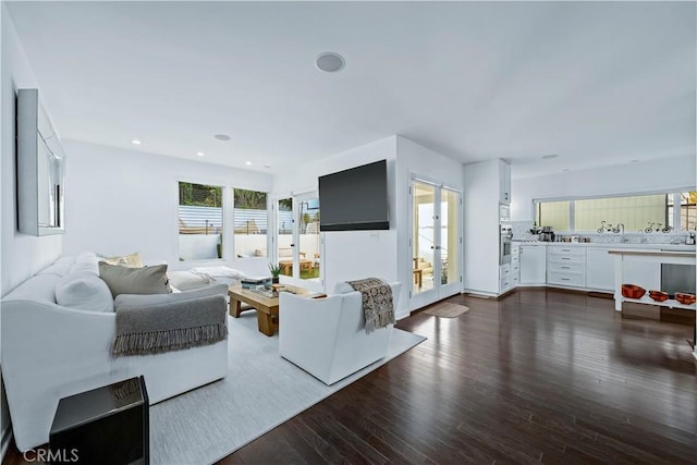 living room featuring dark hardwood / wood-style flooring and sink