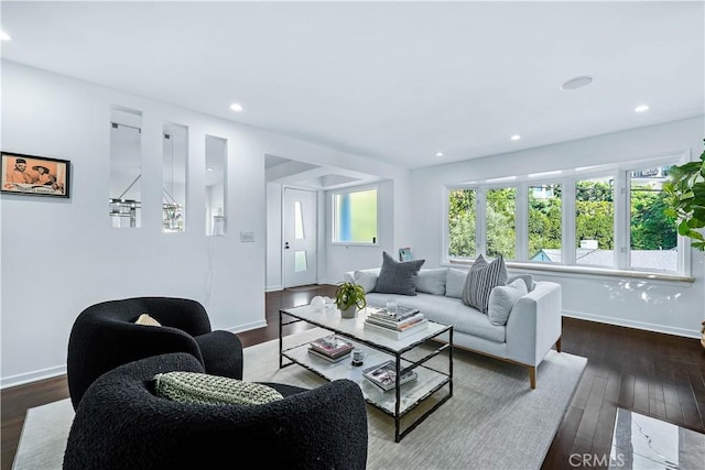 living room with dark hardwood / wood-style floors