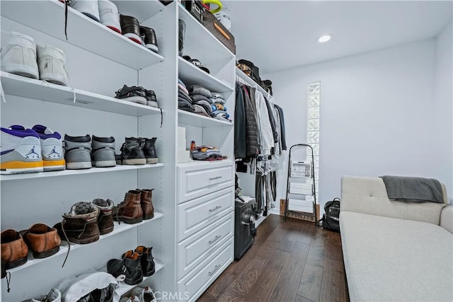 spacious closet featuring dark hardwood / wood-style floors