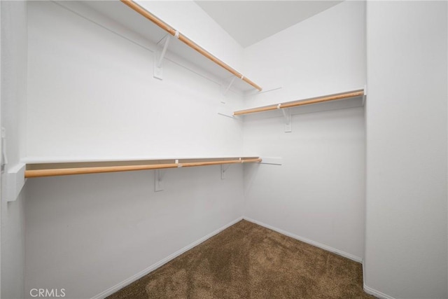 walk in closet featuring carpet