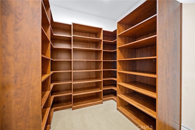 spacious closet with carpet flooring