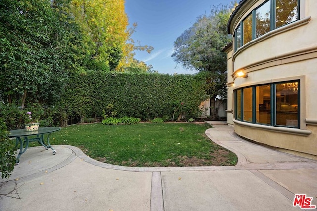 view of yard featuring a patio area