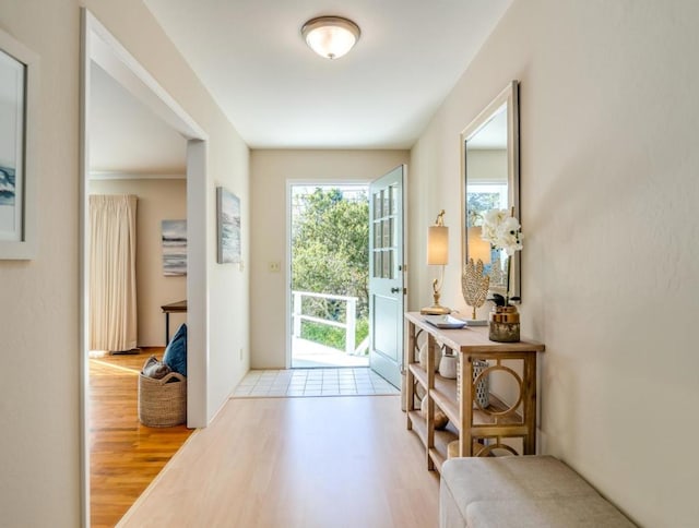 doorway with light hardwood / wood-style flooring