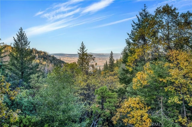 12375 Dry Creek Rd, Middletown CA, 95461 land for sale