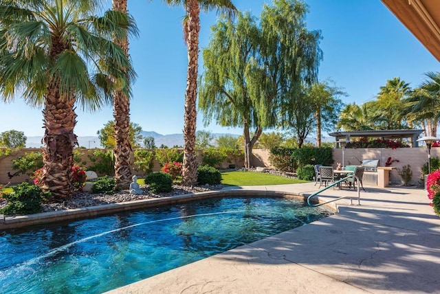 view of pool featuring a patio and an outdoor kitchen