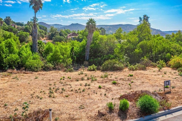 15157 Huntington Ct, Poway, CA 92064 - photo 9