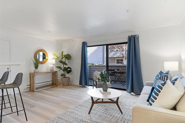 living room with crown molding and light wood-type flooring