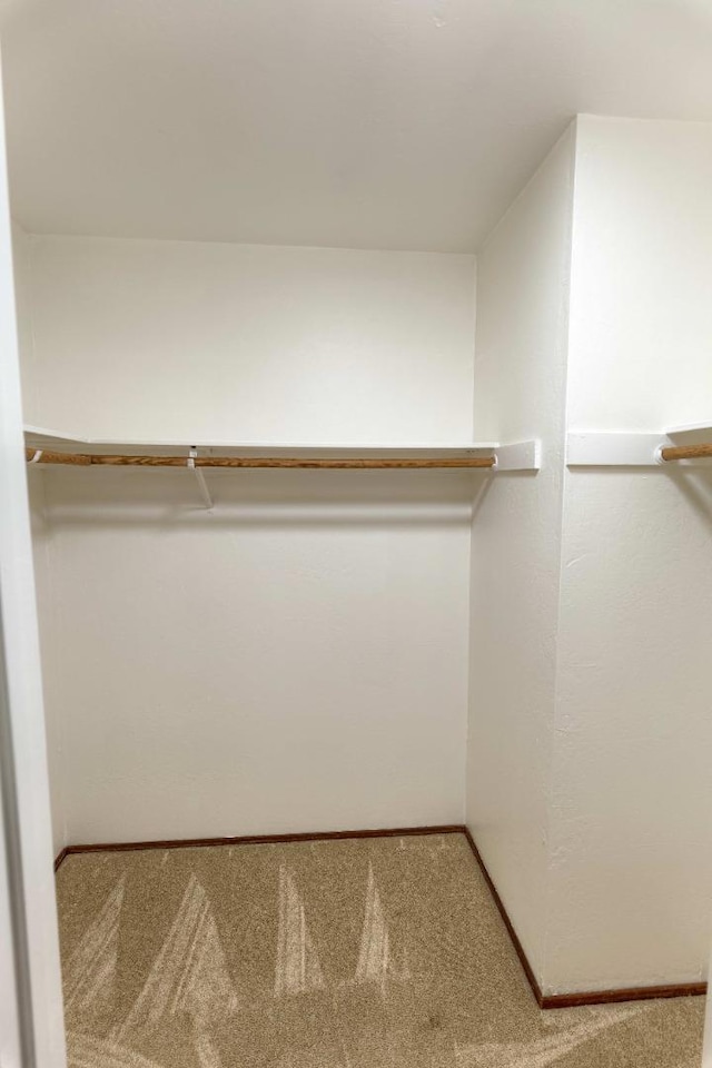 spacious closet featuring light carpet