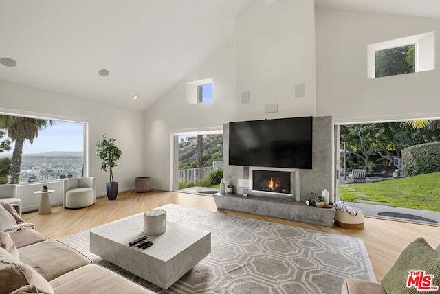 living room featuring wood-type flooring and high vaulted ceiling