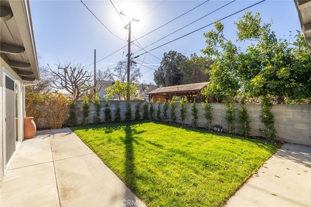 view of yard featuring a patio area