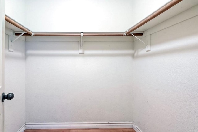 spacious closet featuring hardwood / wood-style flooring