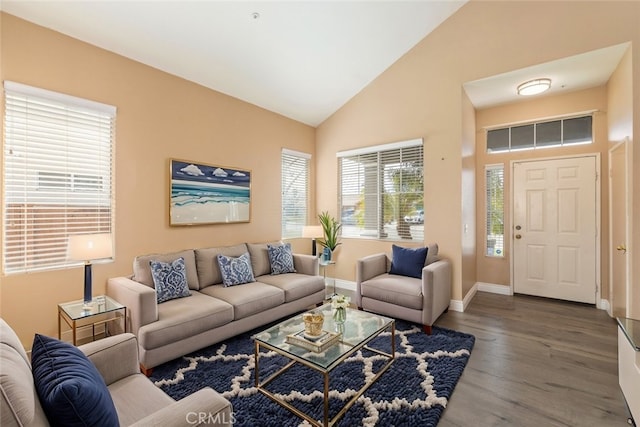 living room with hardwood / wood-style flooring and high vaulted ceiling