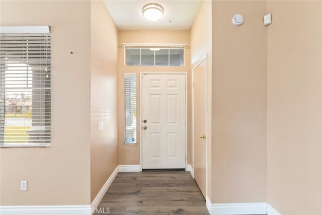 foyer entrance featuring dark wood-type flooring