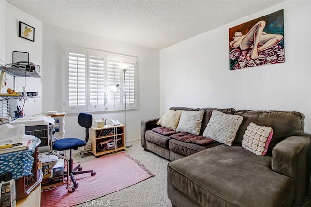 living room with a textured ceiling and carpet