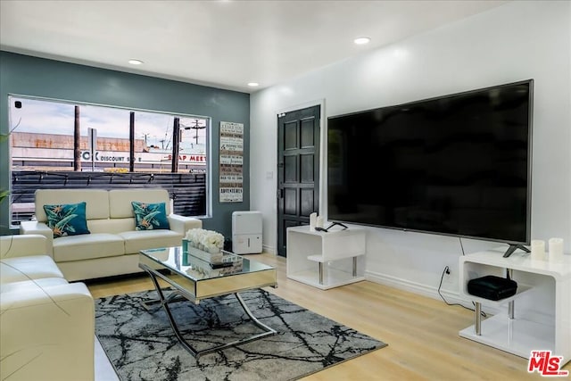 living room featuring wood-type flooring